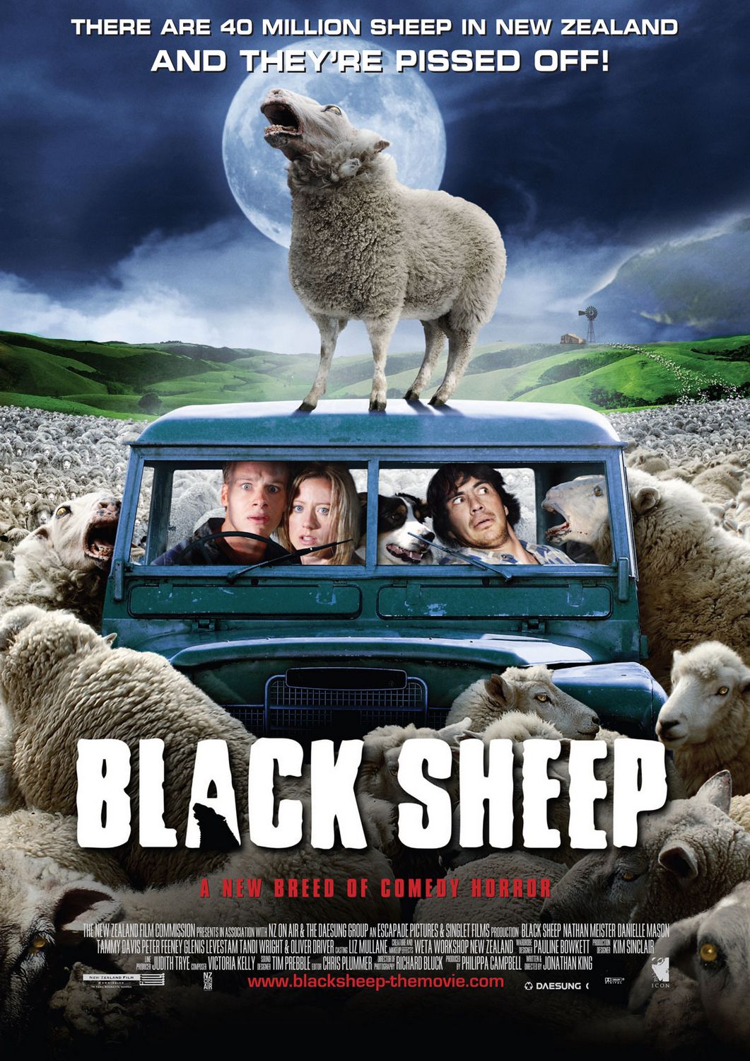 BLACK SHEEP